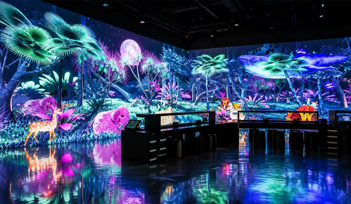 Discover Korea at Arte Museum